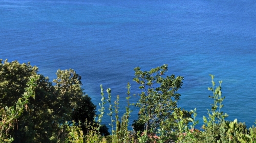 Atraktivno građevinsko zemljište uz more | Prekrasan pogled na otvoreno more | Raj na zemlji! | Dubrovnik okolica